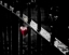 Picture of LONELY