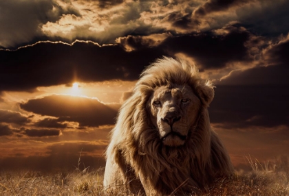 Picture of THE MAJESTY OF SAVANNAH
