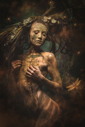 Picture of IN THE WOODS