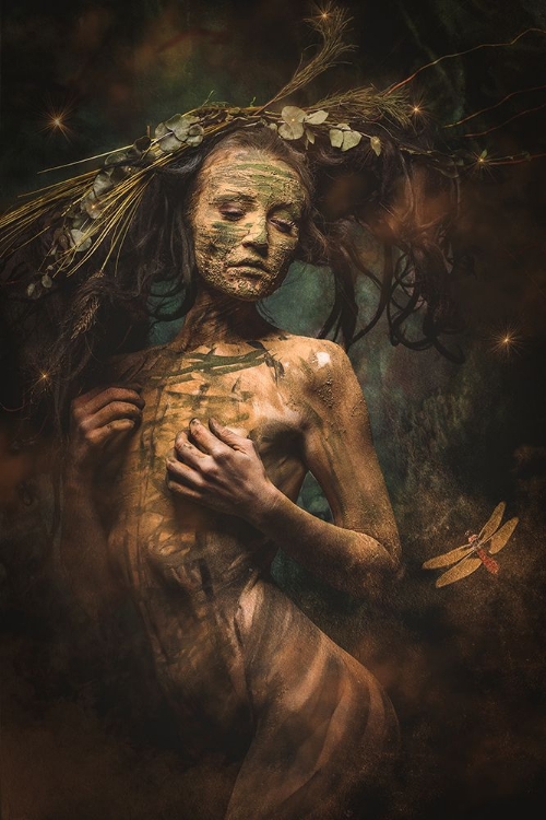 Picture of IN THE WOODS