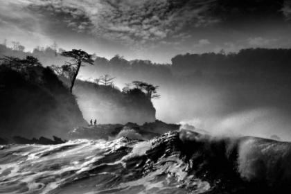 Picture of WAVES PRESENT THAT MORNING