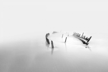 Picture of INTO THE MIST