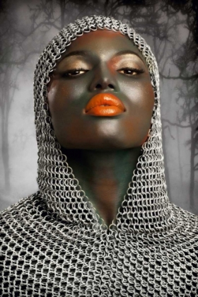 Picture of THE WARRIOR