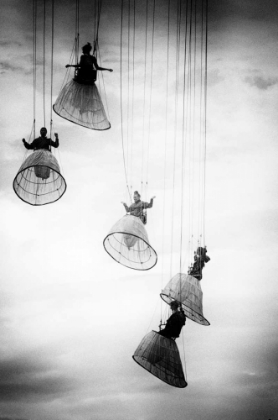 Picture of DUTCH ANGELS