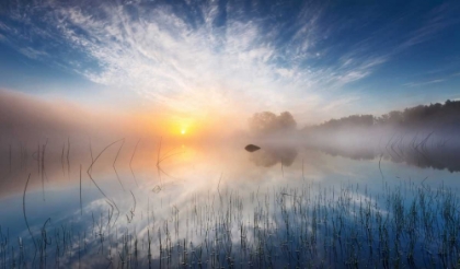 Picture of REFLECTION