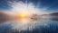 Picture of REFLECTION