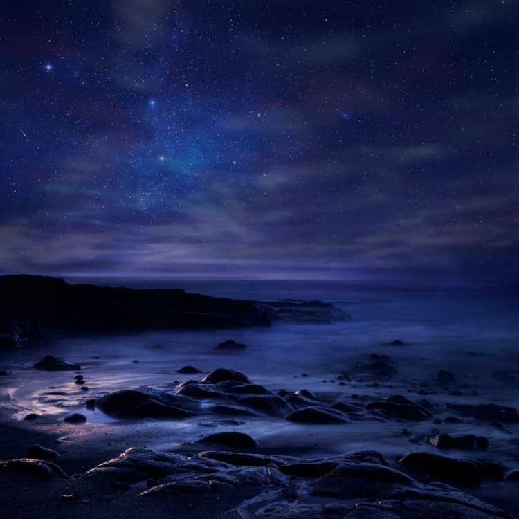 Picture of INSOMNIA
