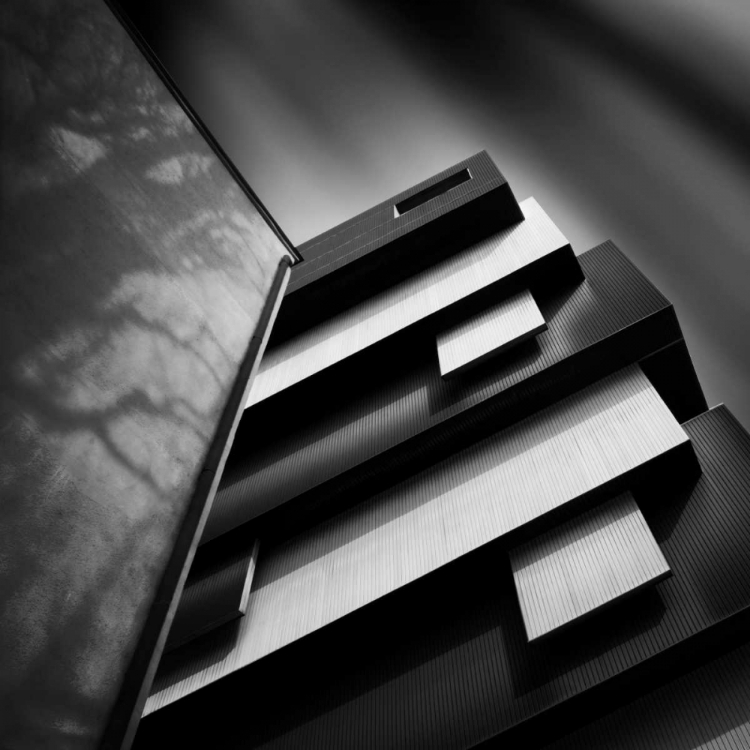 Picture of BLACK AND WHITE