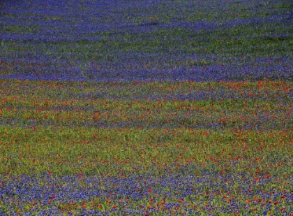 Picture of GET LOST