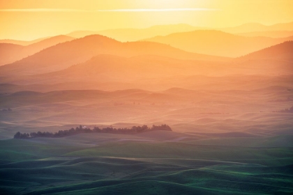 Picture of DREAMY MORNING