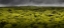 Picture of ISLANDMOOS I