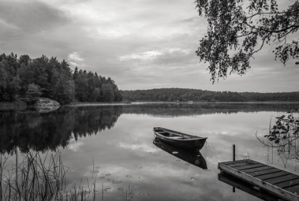 Picture of CALM