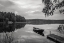 Picture of CALM
