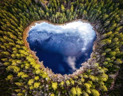 Picture of COLD, COLD HEART