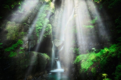 Picture of THE EDEN OF LIGHT