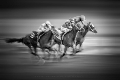 Picture of HORSE RACE