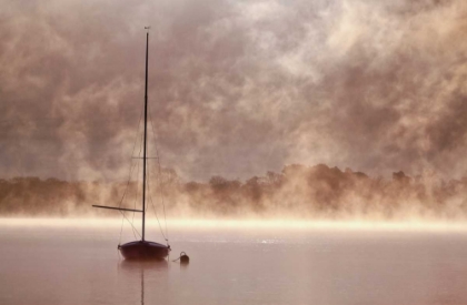 Picture of MYSTICAL