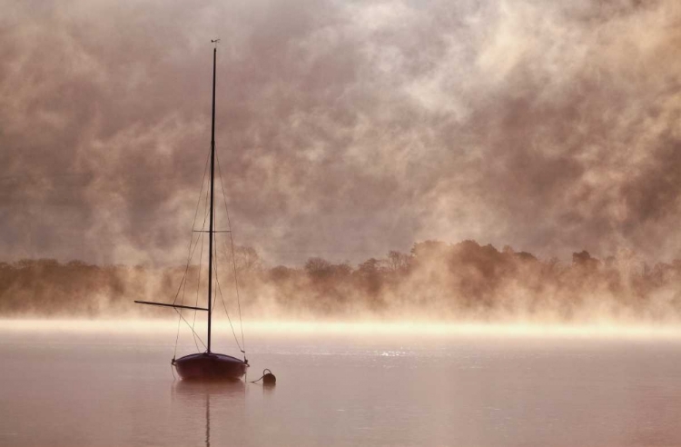 Picture of MYSTICAL