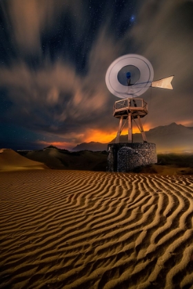 Picture of FAMARA NIGHT