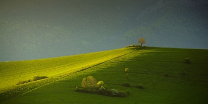 Picture of PAINTED WITH LIGHT . .