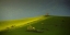 Picture of PAINTED WITH LIGHT . .