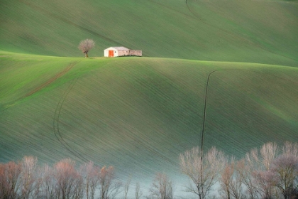 Picture of THE COTTAGE IN THE FIELDS