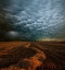 Picture of MAMMATUS