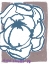 Picture of EARTHY PEONY