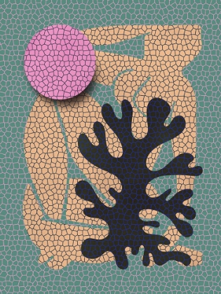 Picture of POP ART MATISSE