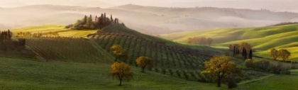Picture of TUTTE LE STRADE PORTANO A BELVEDERE