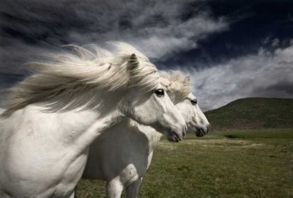 Picture of INTERPLAY