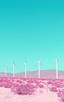 Picture of PALM SPRINGS WINDMILLS IN THE DESERT