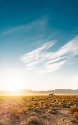 Picture of NEVADA DESERT SUNRISE