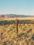 Picture of ABIQUIU VII