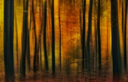 Picture of AUTUMN FALLS
