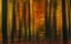 Picture of AUTUMN FALLS