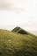 Picture of MOUNTAIN GRAZERS
