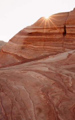 Picture of SOUTHWESTERN SUNBURST