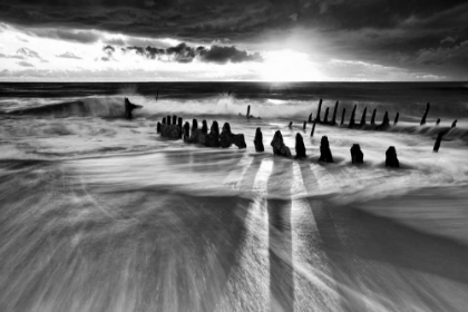 Picture of SUNLIGHT
