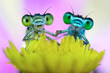 Picture of TAKE MY HAND