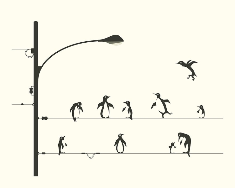 Picture of PENGUINS ON A WIRE