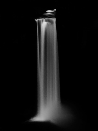 Picture of COME FORTH INTO THE LIGHT OF THINGS. LET NATURE BE YOUR TEACHER ...
