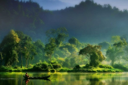 Picture of PAINTING OF  NATURE