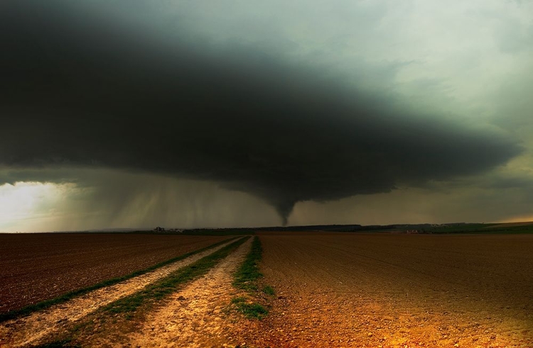 Picture of OFF SPRING