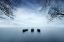 Picture of TIME IS A WAVE