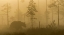 Picture of MORNING FOG