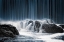 Picture of THE BLUE CURTAIN