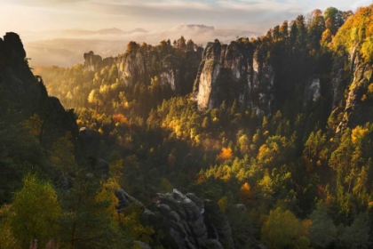 Picture of FOREST WHISPERS