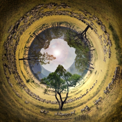 Picture of UNTITLED