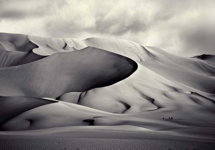 Picture of PINZA DE ARAKAO, DESIERTO DEL TENERA